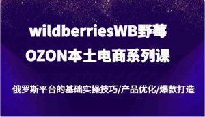 wildberriesWB野莓/OZON本土电商系列课，俄罗斯平台的基础实操技巧/产品优化/爆款打造-网创项目总站