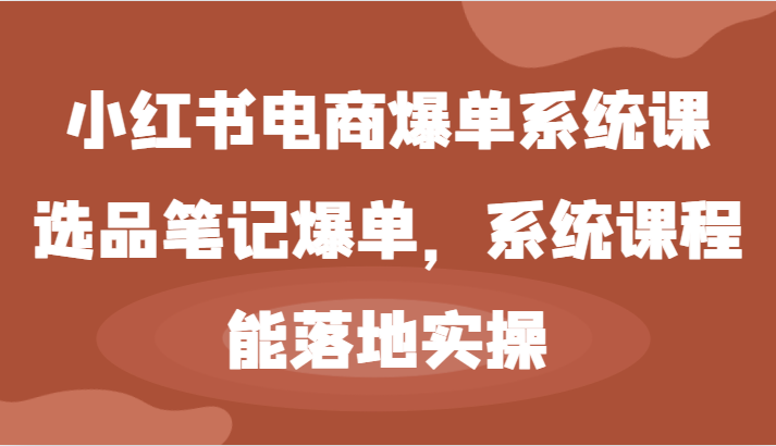 小红书电商爆单系统课-选品笔记爆单，系统课程，能落地实操-网创项目总站