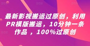 最新影视搬运过原创，利用PR模版搬运，10分钟一条作品 ，100%过原创【教程+PR模板】-网创项目总站