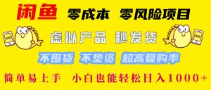 闲鱼 零成本 零风险项目 虚拟产品秒发货 不囤货 不垫资 超高复购率  简…-网创项目总站