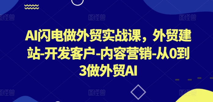 AI闪电做外贸实战课，​外贸建站-开发客户-内容营销-从0到3做外贸AI(更新)-网创项目总站