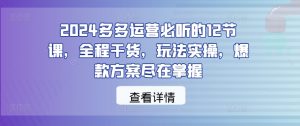 2024多多运营必听的12节课，全程干货，玩法实操，爆款方案尽在掌握-网创项目总站