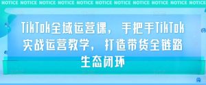 TikTok全域运营课，手把手TikTok实战运营教学，打造带货全链路生态闭环-网创项目总站