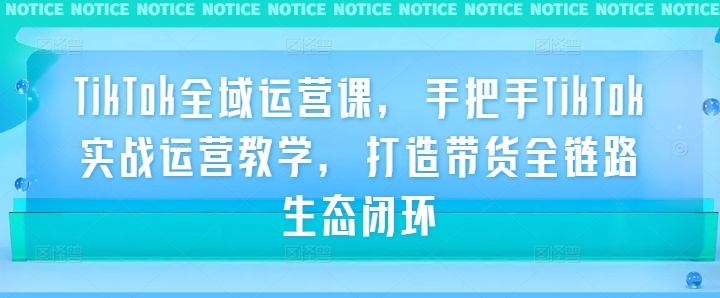 TikTok全域运营课，手把手TikTok实战运营教学，打造带货全链路生态闭环-网创项目总站