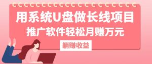 用系统U盘做长线项目，推广软件轻松月赚万元(附制作教程+软件-网创项目总站