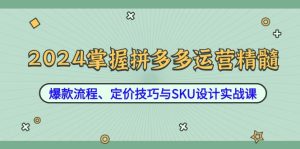 2024掌握拼多多运营精髓：爆款流程、定价技巧与SKU设计实战课-网创项目总站