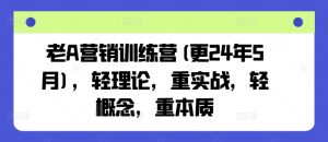 老A营销训练营(更24年9月)，轻理论，重实战，轻概念，重本质-网创项目总站