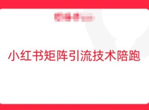 小红书矩阵引流技术，教大家玩转小红书流量-网创项目总站