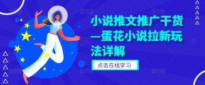 小说推文推广干货—蛋花小说拉新玩法详解-网创项目总站
