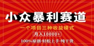 视频号最新爆火赛道，三种可收益模式，0粉新号条条原创条条热门 日入1000+-网创项目总站