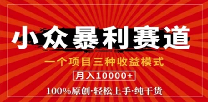 视频号最新爆火赛道，三种可收益模式，0粉新号条条原创条条热门 日入1000+-网创项目总站