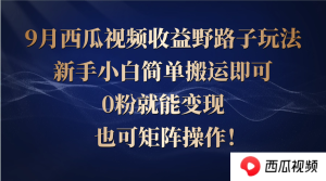 西瓜视频收益野路子玩法，新手小白简单搬运即可，0粉就能变现，也可矩…-网创项目总站