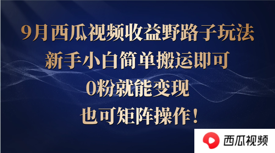 西瓜视频收益野路子玩法，新手小白简单搬运即可，0粉就能变现，也可矩…-网创项目总站