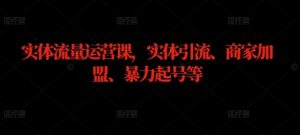 实体流量运营课，实体引流、商家加盟、暴力起号等-网创项目总站