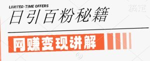 最新闲鱼引流创业粉，日引100+，网创项目虚变现讲解【揭秘】-网创项目总站