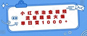 小红书治愈视频，流量超级火爆，单日变现1000+-网创项目总站
