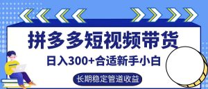 拼多多短视频带货日入300+，实操账户展示看就能学会-网创项目总站