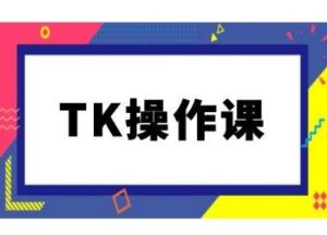 TK操作课，tiktok跨境电商教程(更新中)-网创项目总站