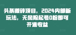 头条搬砖项目，2024内部新玩法，无风险起号0粉即可开通收益-网创项目总站