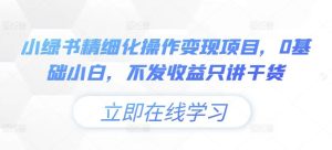 小绿书精细化操作变现项目，0基础小白，不发收益只讲干货-网创项目总站