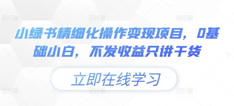 小绿书精细化操作变现项目，0基础小白，不发收益只讲干货-网创项目总站