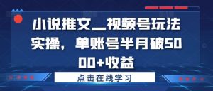 小说推文—视频号玩法实操，单账号半月破5000+收益-网创项目总站