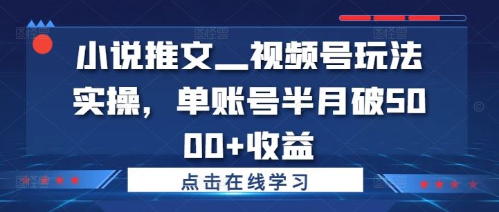 小说推文—视频号玩法实操，单账号半月破5000+收益-网创项目总站