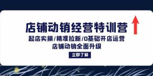 店铺动销经营特训营：起店实操/精准拉新/0基础开店运营/店铺动销全面升级-网创项目总站