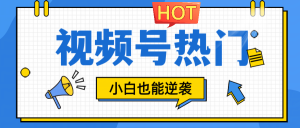 视频号分成计划热门赛道，把握流量，小白也能逆袭-网创项目总站