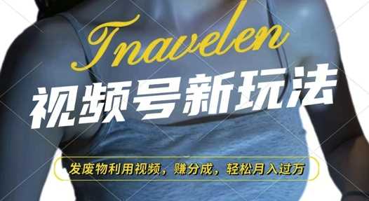 视频号新玩法，废物利用视频，撸分成收益，轻松月入过W【揭秘】-网创项目总站