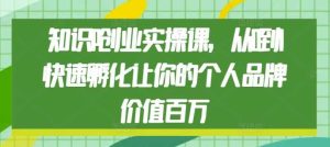 知识IP创业实操课,从0到1快速孵化让你的个人品牌价值百万-网创项目总站