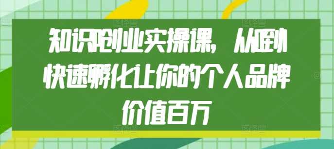 知识IP创业实操课,从0到1快速孵化让你的个人品牌价值百万-网创项目总站