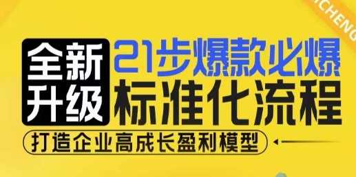 21步爆款必爆标准化流程，全新升级，打造企业高成长盈利模型-网创项目总站