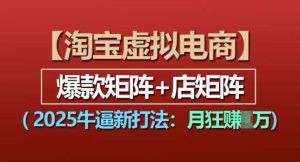 淘宝虚拟电商，2025牛逼新打法：爆款矩阵+店矩阵，月入过万-网创项目总站