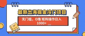 （13672期）最新出海掘金冷门项目，单号日入1000+-网创项目总站