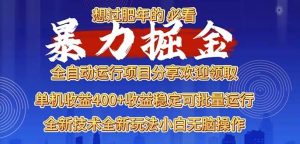 （13675期）2025暴力掘金项目，想过肥年必看！-网创项目总站