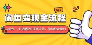 （13677期）闲鱼变现全流程：你从零到一, 打造爆款, 提升流量，助你稳定盈利-网创项目总站