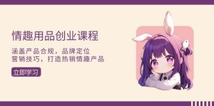 （13682期）情趣用品创业课程：涵盖产品合规，品牌定位，营销技巧，打造热销情趣产品-网创项目总站