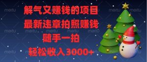 （13686期）解气又赚钱的项目，最新违章拍照赚钱，随手一拍，轻松收入3000+-网创项目总站