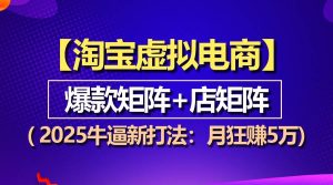 （13687期）【淘宝虚拟项目】2025牛逼新打法：爆款矩阵+店矩阵，月狂赚5万-网创项目总站