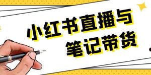 小红书直播与笔记带货：选品、上架、笔记写作、视频剪辑及直播话术等-网创项目总站