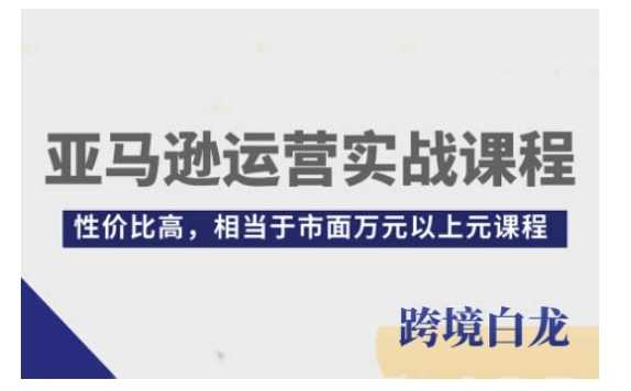 亚马逊运营实战课程，亚马逊从入门到精通，性价比高，相当于市面万元以上元课程-网创项目总站