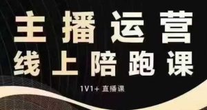 猴帝电商1600抖音课【12月】拉爆自然流，做懂流量的主播，快速掌握底层逻辑，自然流破圈攻略-网创项目总站