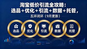 淘宝低价引流全攻略：选品＋优化＋引流＋数据＋托管，五环闭环(9月更新-网创项目总站