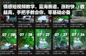 情感短视频教学，蓝海赛道，涨粉快，收益高，手把手教会你，零基础必备-网创项目总站