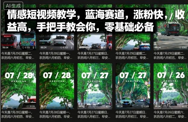 情感短视频教学，蓝海赛道，涨粉快，收益高，手把手教会你，零基础必备-网创项目总站