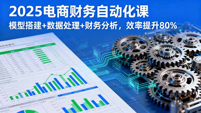 2025电商财务自动化课，模型搭建+数据处理+财务分析，效率提升80%-网创项目总站