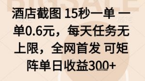 酒店截图项目，15秒一单，一单0.6米，每天任务无上限，全网首发可矩阵单日收益3张+【揭秘】-网创项目总站
