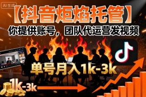【抖音炬焰托管】你提供账号，团队代运营发视频，单号月入1k+【揭秘】-网创项目总站
