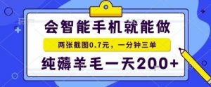 手机项目，二十秒一单，纯薅羊毛一天2张+做就有【揭秘】-网创项目总站